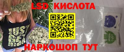 мдпв Гусев