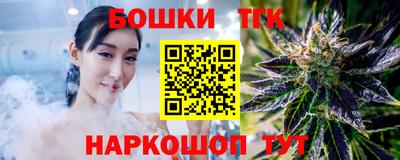 мдпв Гусев