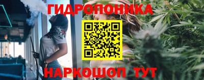 PSILOCYBIN Гусь-Хрустальный