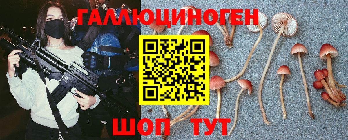 наркошоп  Вход с VPN  Мирный  Псилоцибиновые грибы GOLDEN TEACHER 