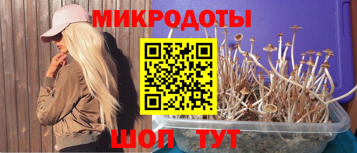 Псилоцибиновые грибы MAGIC MUSHROOMS Мирный